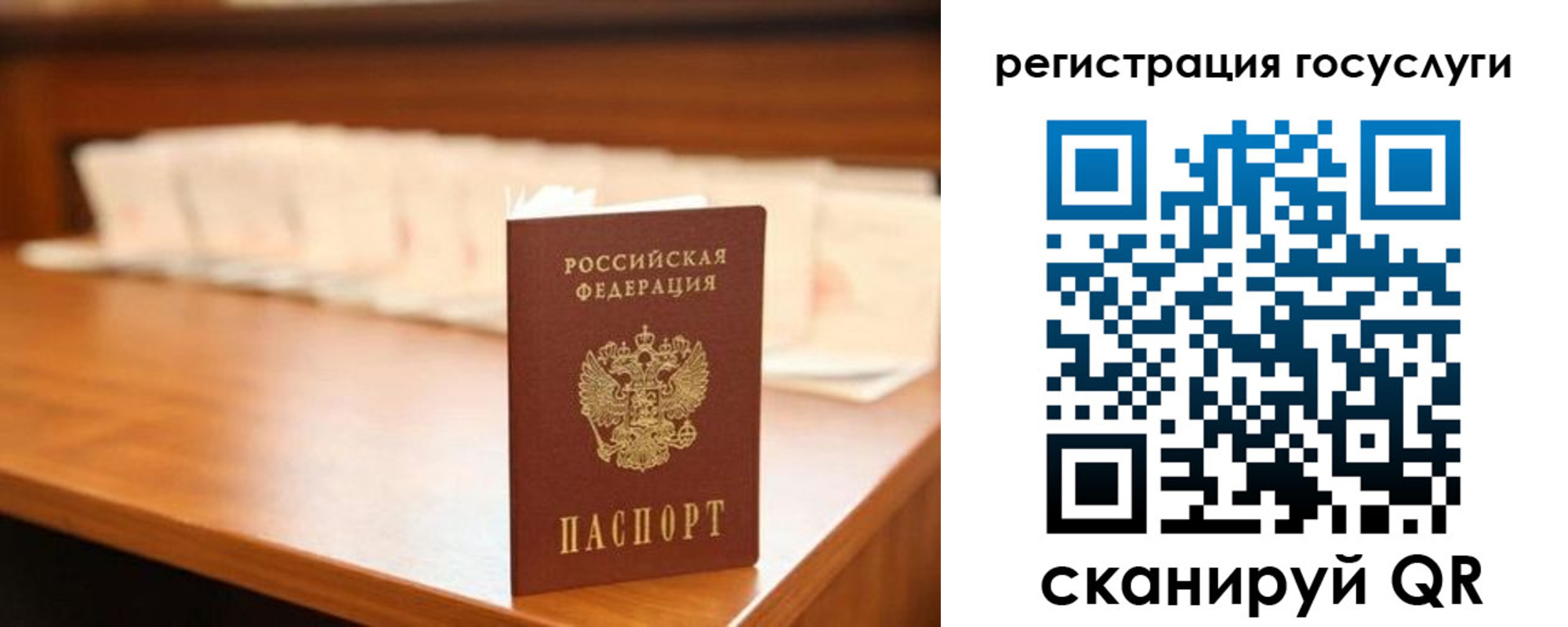 прописка в квартире в Димитровграде