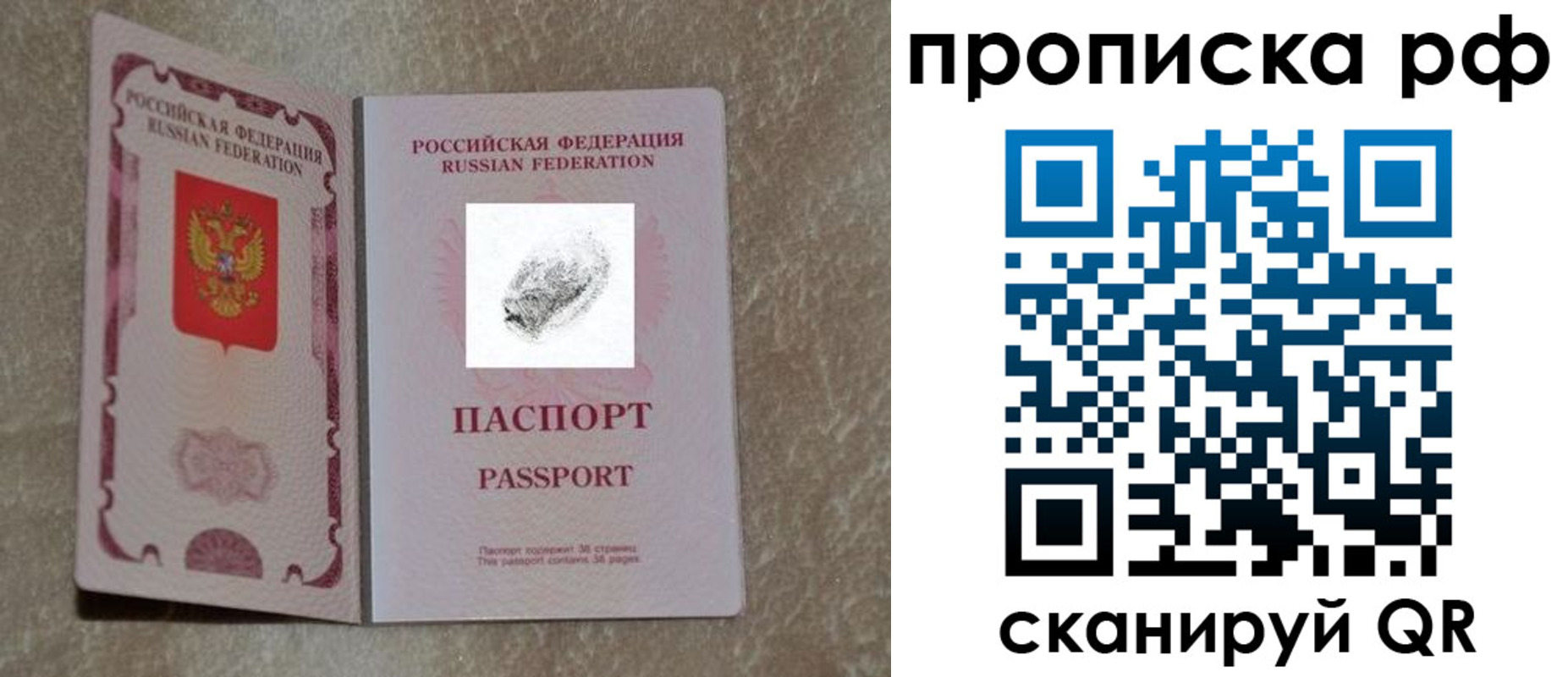 прописка поиск в Димитровграде