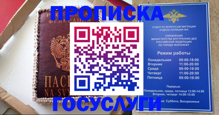 прописка 2025 в Димитровграде